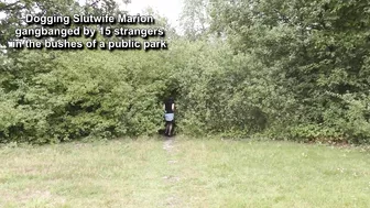 Marion Fucked By 15 Strangers In The Park