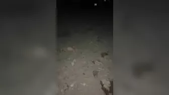 Encuentro A Chica En La Playa De Noche Y Esto Sucedió… Se Carga Buen Culo