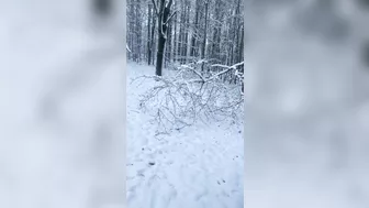 Warm Blowjob In Cold Forest