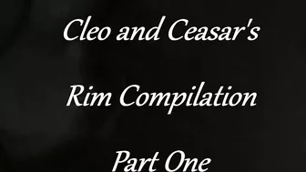 Cleo And Ceasar's Best Rimming And Pegging Compilation Part 1