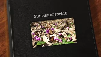 Asmr? Nature Porn? Fantasy 'Sunrise Of Spring' Asmrotica (1St Relaxing Part) X-Asmrcom