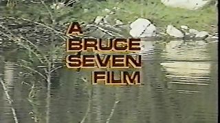 Harlequin Affair (1985) Bruce Seven, Cinematrex Retro Classic Vintage Porn Movies