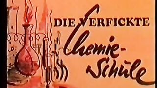 Die Verfickte Chemie Schule (Rubin Film)