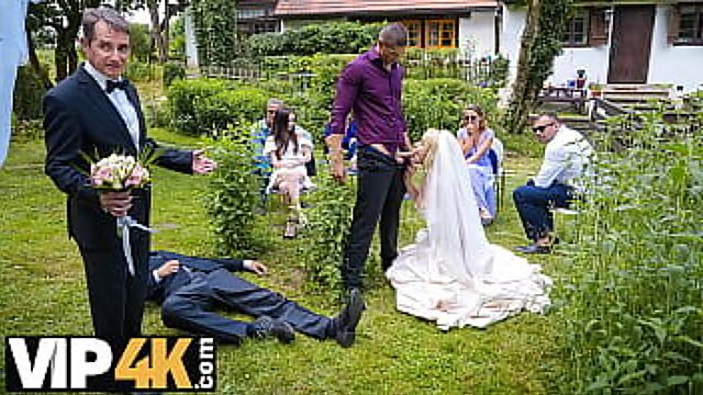 Bride Gone Wild: A Groom's Runaway Nightmare