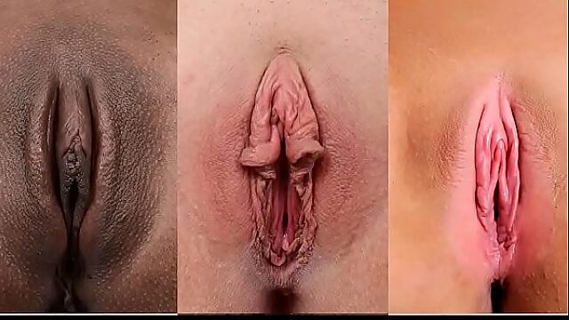 Different Types Of Pussies For Your Pleasure