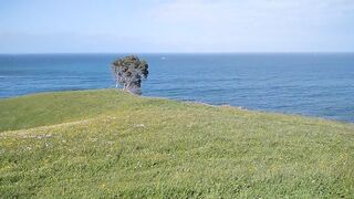 Mamada Pública Con Vistas Al Mar:)! Rápido,Correte Que Viene Alguien