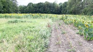 Pov - Doggy In A Field Of Sunflowers