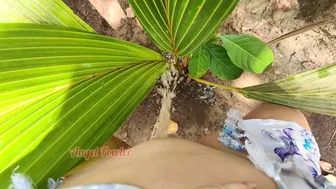 Piss On Small Palm Tree (I Made A Tropical Golden Shower)