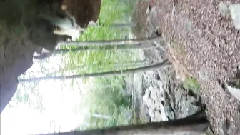 Blowjob In The Woods