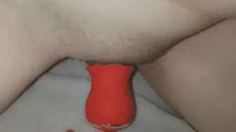 Puppy Girl Humps Rose Toy Until Clit Grows