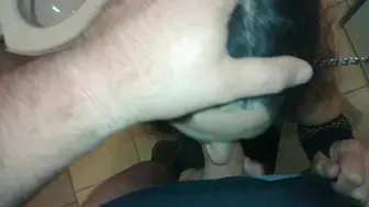 My Stepmom Would Be Proud Of How I Suck Dick