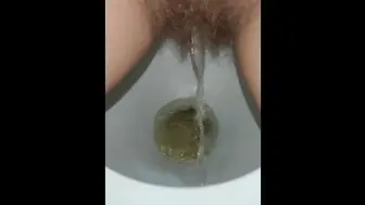 Piss And Fart In The Toilet