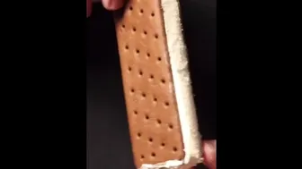 Will It Waffle? - Ice Cream Sandwich