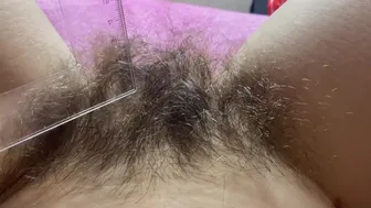 Huge Hairy Bush Measurement Long Pussy Hair Closeup