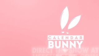 Calendar Bunny - 85357