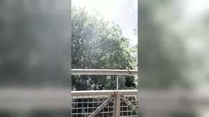 Fucking On The Balcony In Front Of The Neighbors