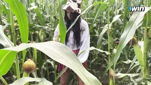 Security Guard Catches Slut Thief In Cornfield And Gives Her A Ticket On The Spot