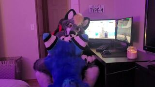 Gamer Furry Gets Sucked Off & Fucks Cute Wolf Girl In Return