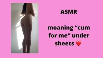 Asmr: Moaning 'Cum For Me' Under Sheets