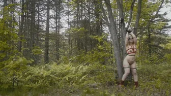 Submissive Slut Tied To A Tree - Tormented Until I Scream