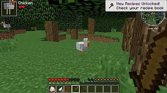 Minecraft Play: Almost Immortal Chickens Or Why You Need A Wooden Sword