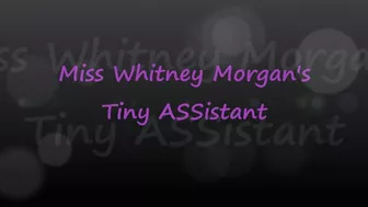 Miss Whitney Morgan's Tiny Assistant - Mp4