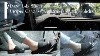 Event Lab Series: Utopia Gardens And Steve Madden Slides (Mp4 1080P)