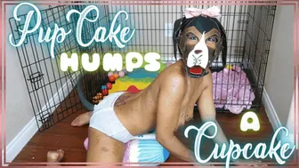 Pupcake Humps A Cupcake - Petplay Pullup Pillow Humping In 1080