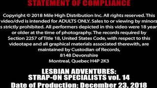 Lesbian Adventures Strap-On Specialists Vol. 14