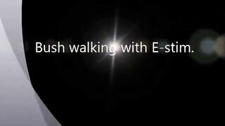 Bush Walking My E-Stim